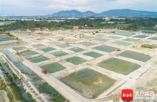 陵水水产南繁苗种项目 预计明年底建成投产